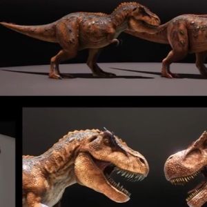 Meet your Posher, Brady